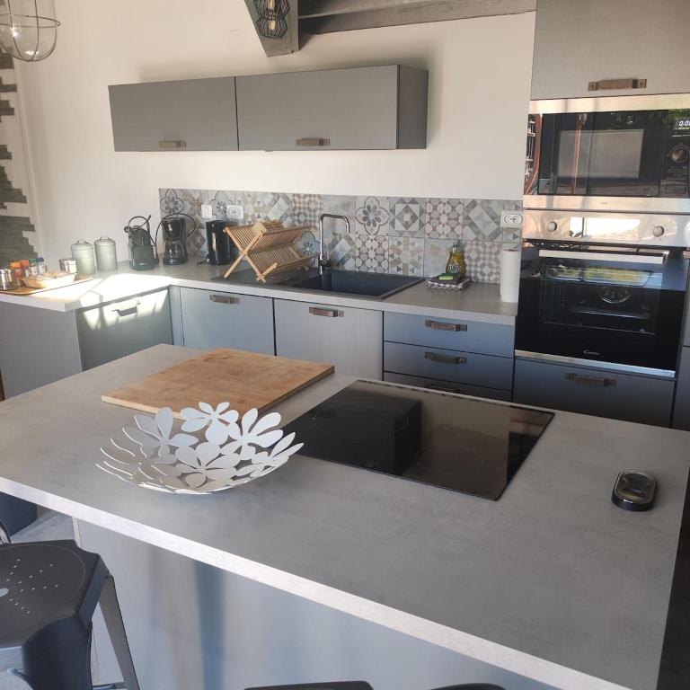 loft, clim, jardin, piscine, calme, parc expo, - Maison 2 Chambres - 11
