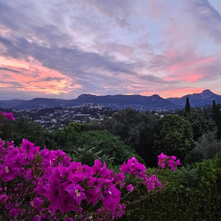 Villa Del Sol with Mountain Views - Villa 3 Chambres - 32