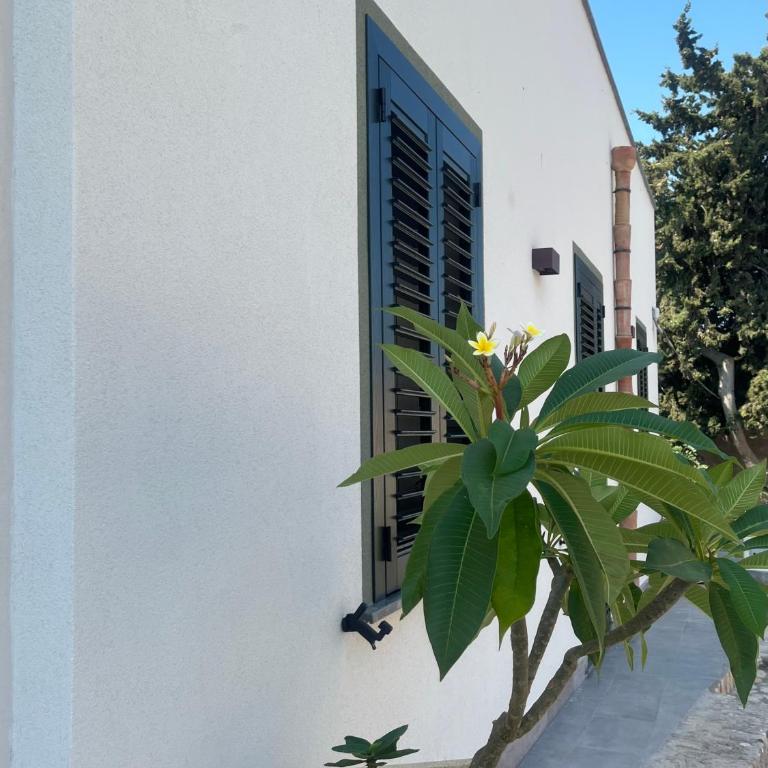 Casa Vacanze Sidda - Casa Vacanze - 1