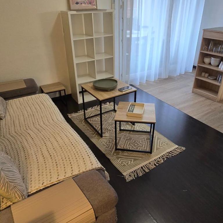 Chez Camille Studio cosy, parking gratuit terrasse - Appartement 1 Chambre - 10
