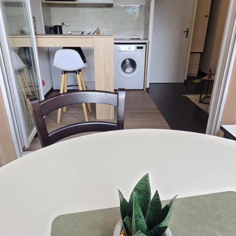Chez Camille Studio cosy, parking gratuit terrasse - Appartement 1 Chambre - 14