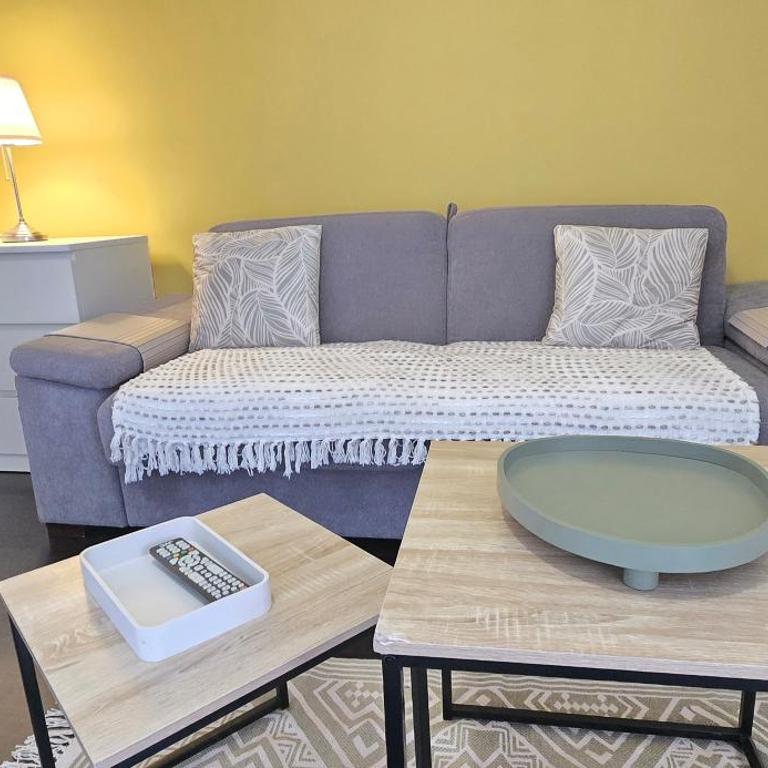 Chez Camille Studio cosy, parking gratuit terrasse - Appartement 1 Chambre - 15