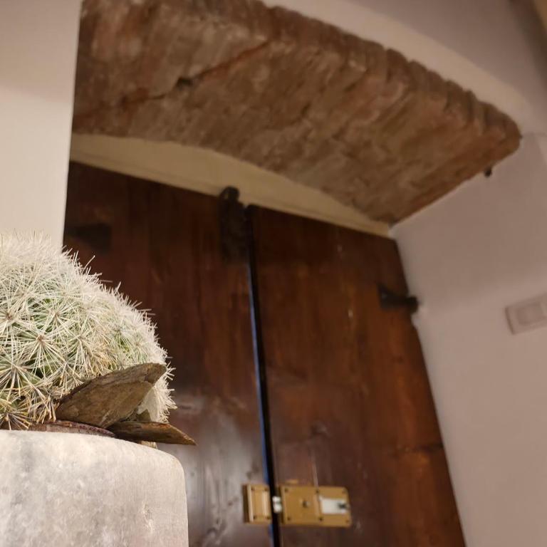 DIMORA SANT'EGIDIO - Appartamento con 1 Camera da Letto - 25