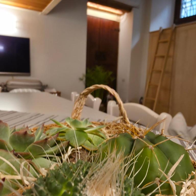 DIMORA SANT'EGIDIO - Appartamento con 1 Camera da Letto - 11