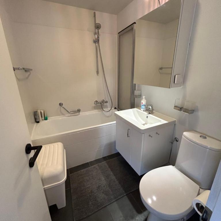 Greppon Blanc A2 - Apartment mit 2 Schlafzimmern - 16