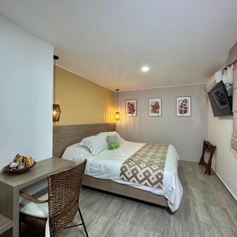 Hotel Buena Vista - Habitación Doble Estándar - 16