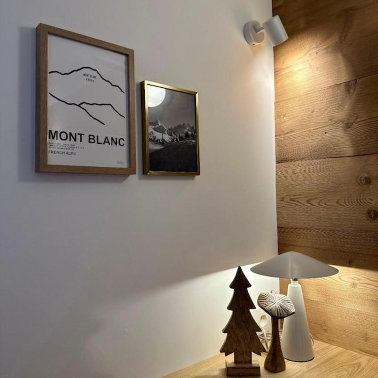 Charming Mont-Blanc View Studio in Chamonix - Studio - 7