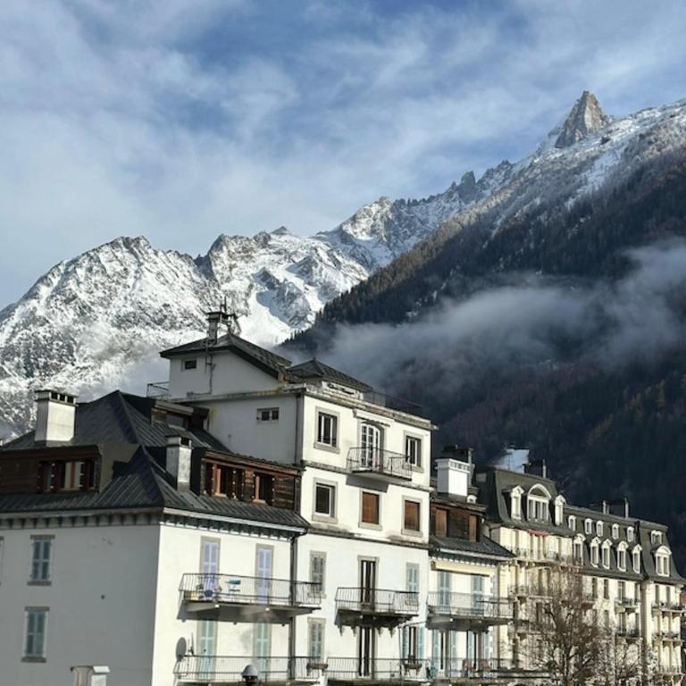 Charming Mont-Blanc View Studio in Chamonix - Studio - 10