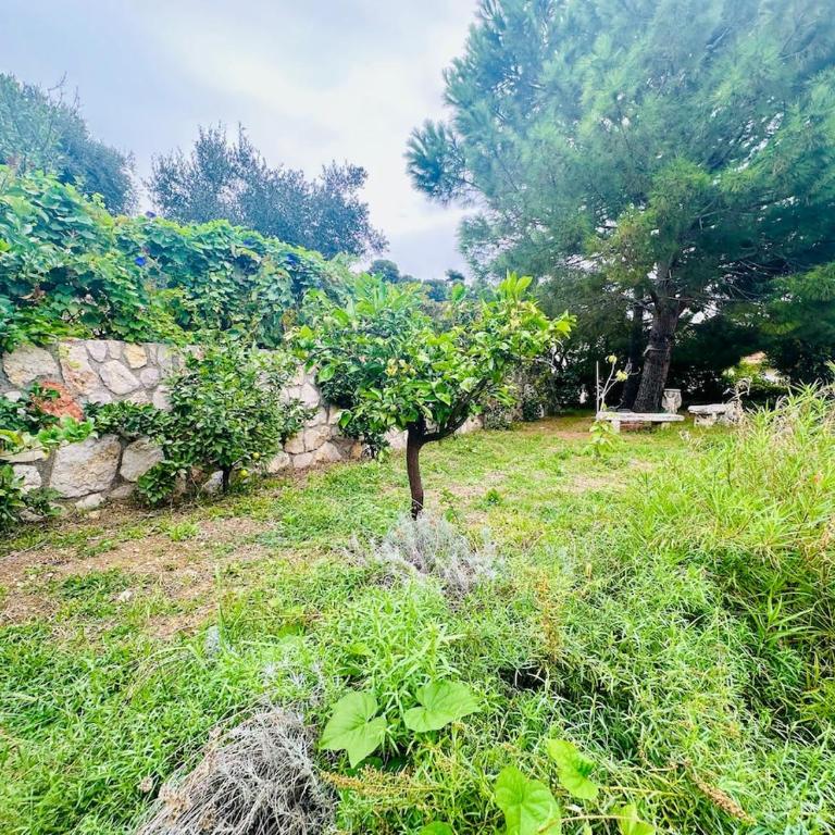 Unique Villa, Pool, Nature & Monaco on Foot - Villa 3 Chambres - 28