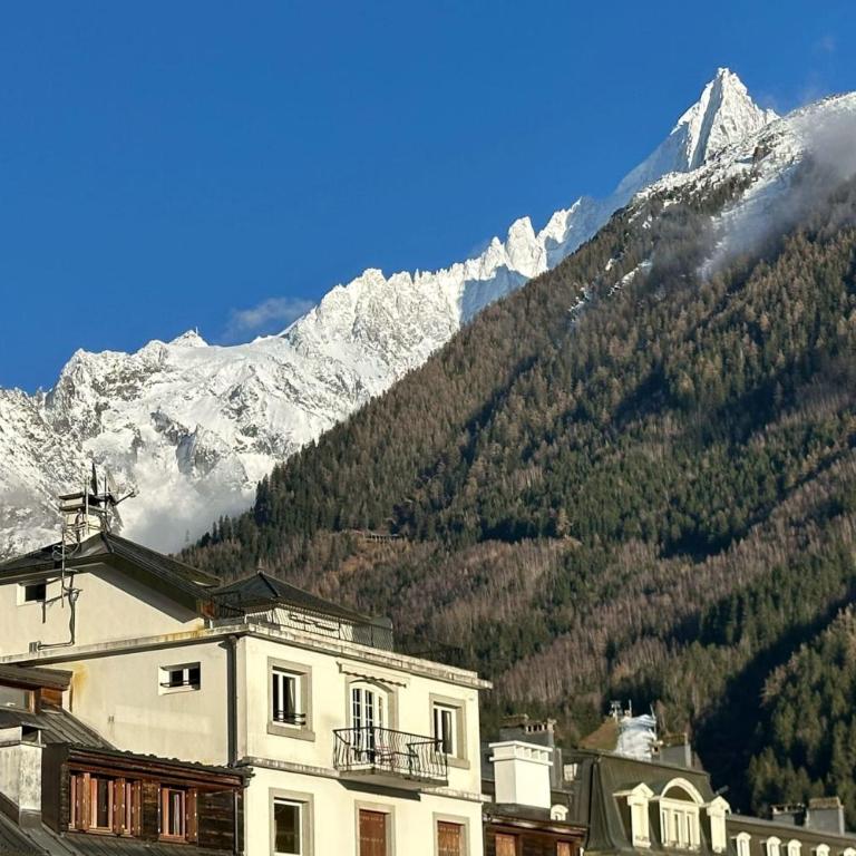 Charming Mont-Blanc View Studio in Chamonix - Studio - 13