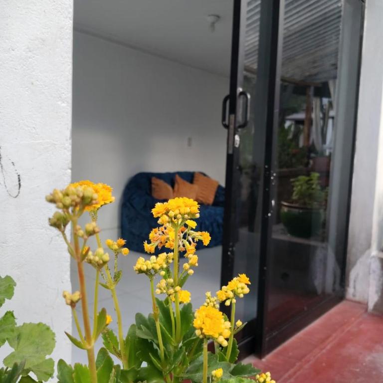 Casa Jardin - One-Bedroom Apartment - 23