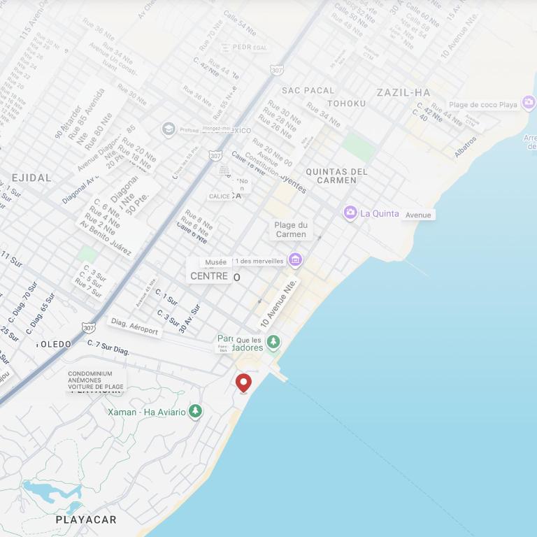 Front of the Caribbean Sea, Prestigious residence - Apartamento de 2 dormitorios - 5