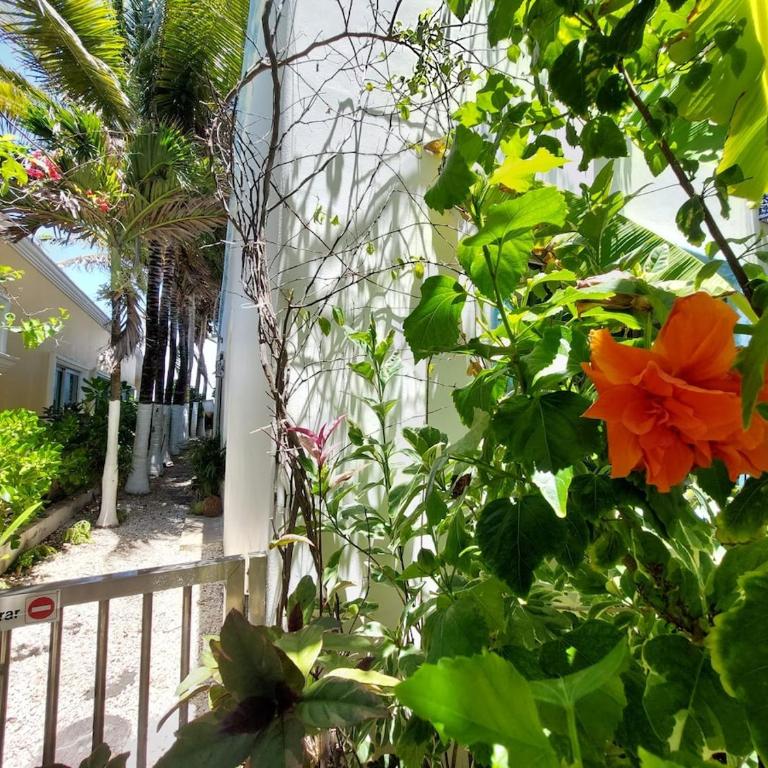 Front of the Caribbean Sea, Prestigious residence - Apartamento de 2 dormitorios - 9