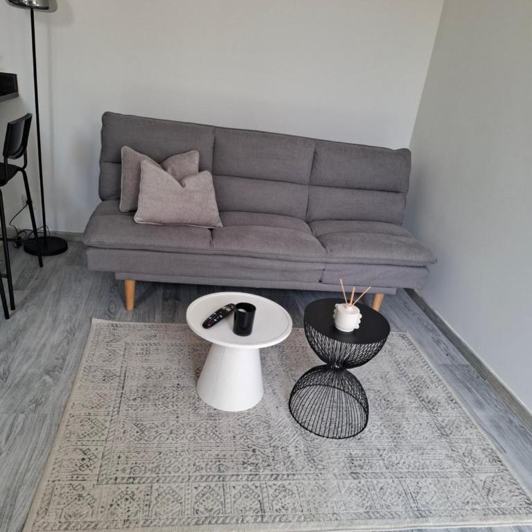 Appartement cosy proche centre-ville - Appartamento con 1 Camera da Letto - 2