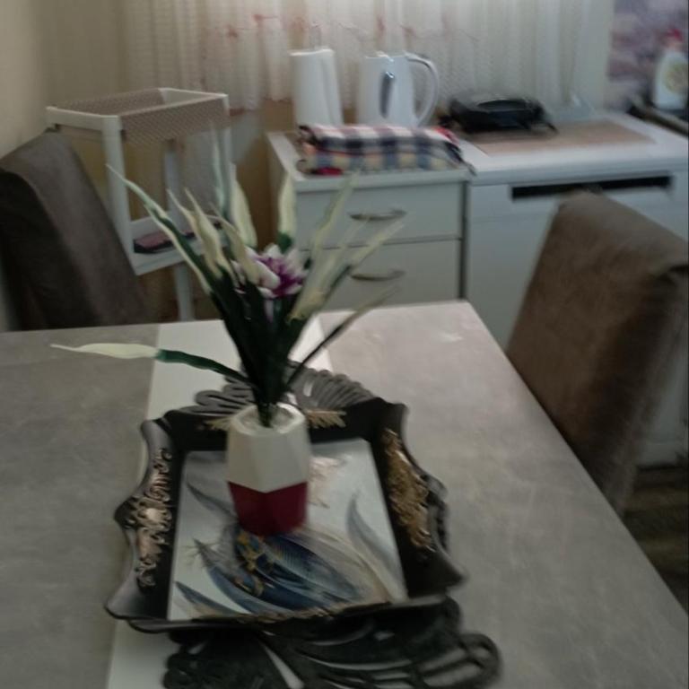 Vesna - Apartman sa 1 Spavaćom Sobom - 9