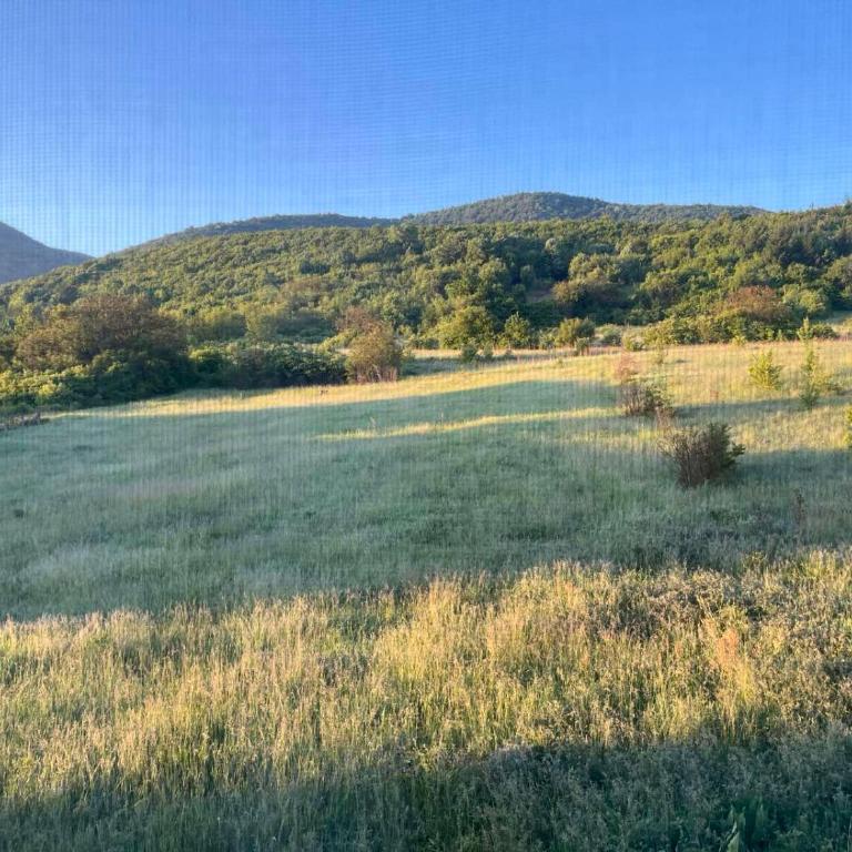 Natura Lux & Parking Free - Green Hill, blizu Akva parka - Apartman sa 1 Spavaćom Sobom - 22