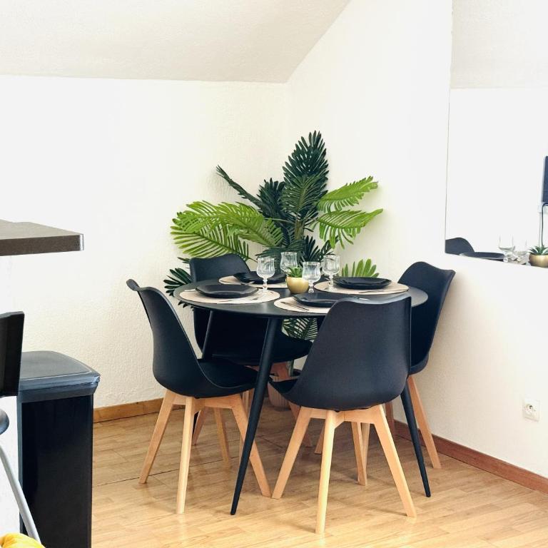 Le Tropical- Beau T2 à 5min du centre-ville - One-Bedroom Apartment - 5