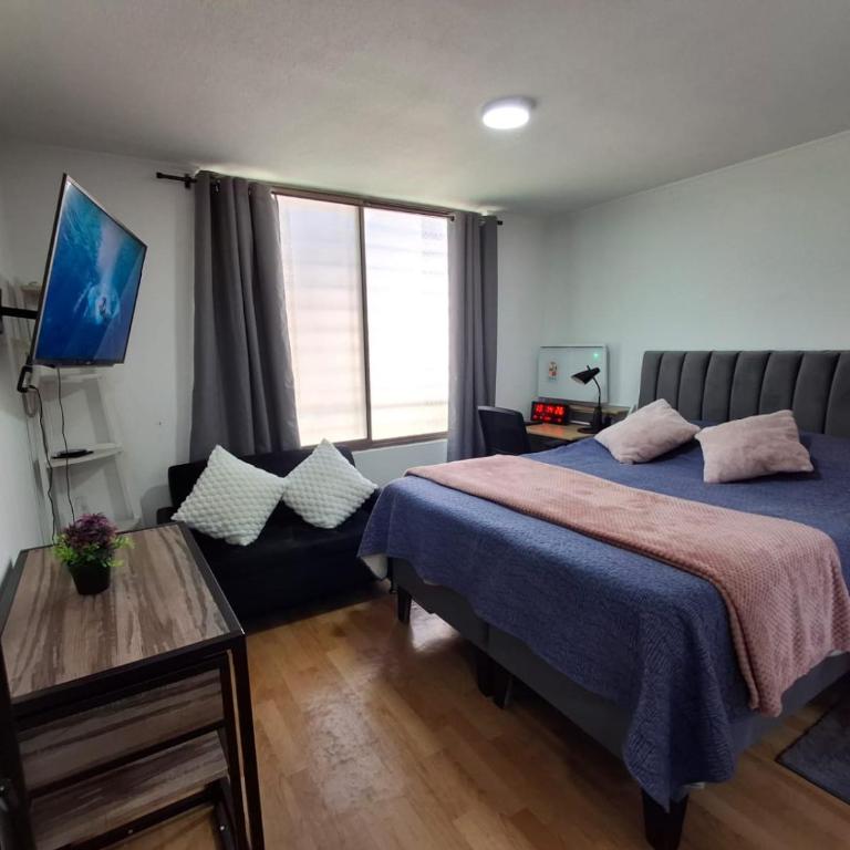 Departamento calle Zenteno 138 - One-Bedroom Apartment - 10