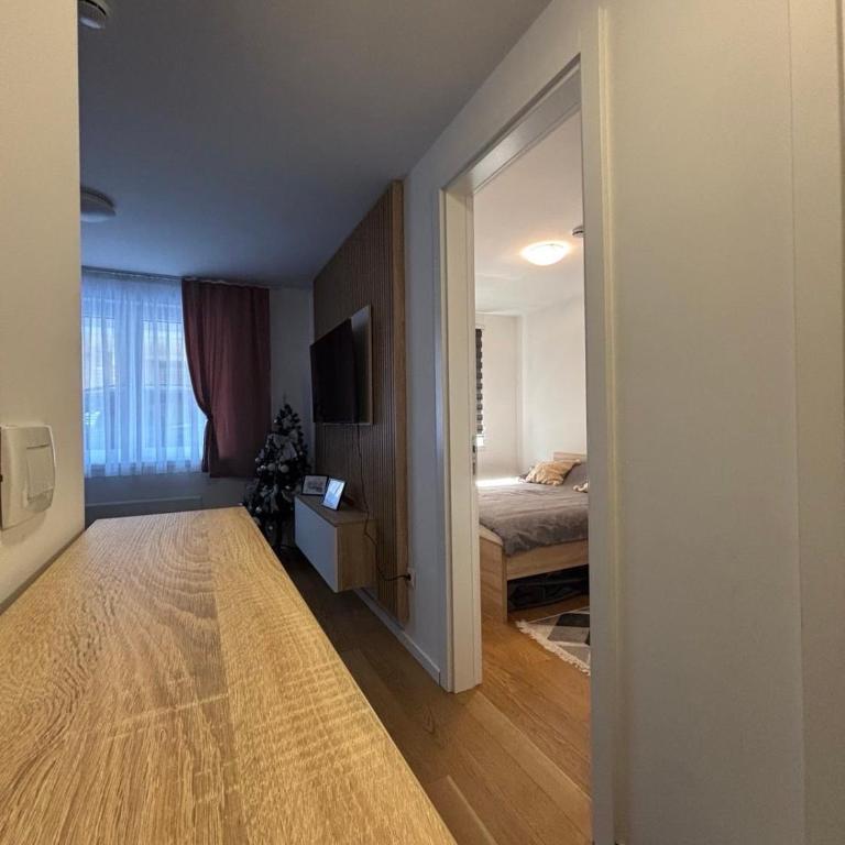 Ski-in Apartment Jahorina - One-Bedroom Apartment - 9