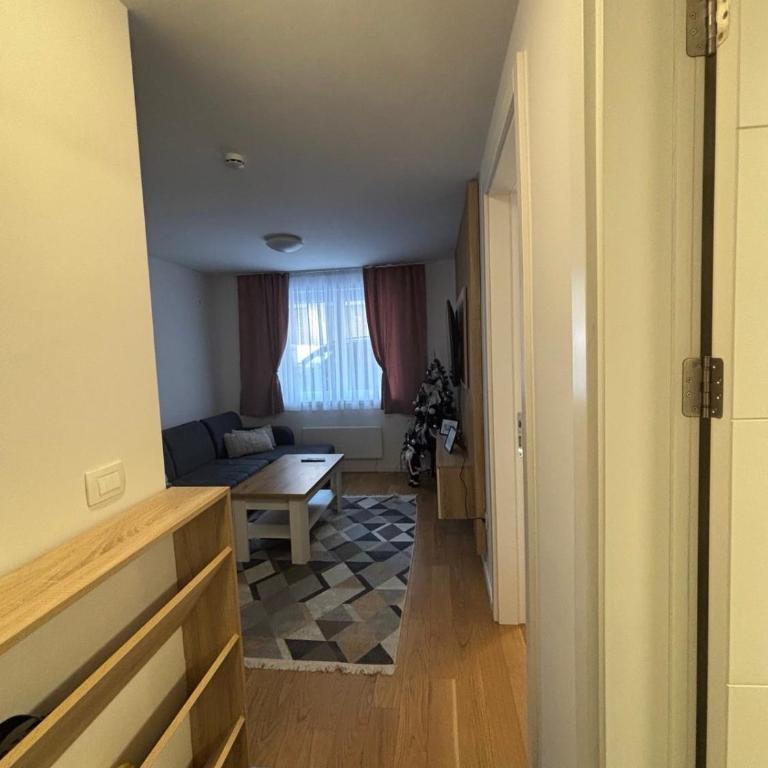 Ski-in Apartment Jahorina - One-Bedroom Apartment - 6