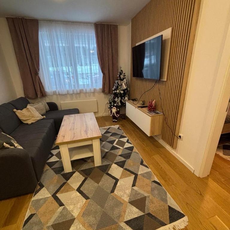 Ski-in Apartment Jahorina - One-Bedroom Apartment - 4