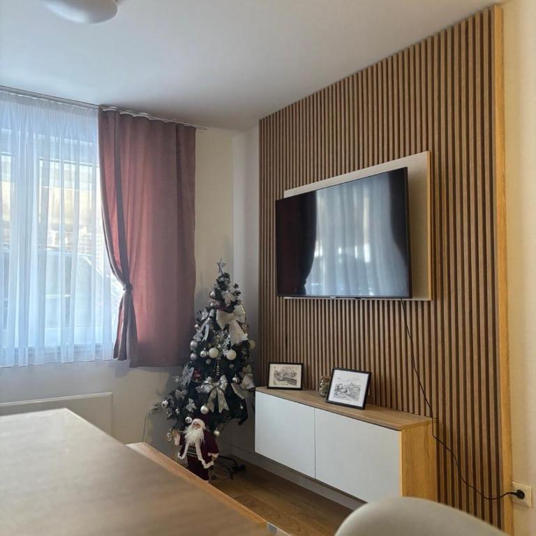 Ski-in Apartment Jahorina - One-Bedroom Apartment - 5
