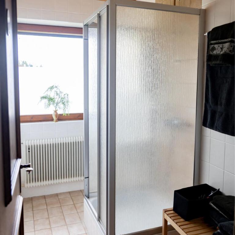 Alpenpause Apartment in Telfes - Apartment mit 2 Schlafzimmern - 19