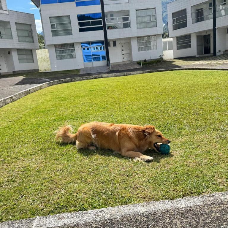 Casa LuA - Casa de 4 dormitorios - 19