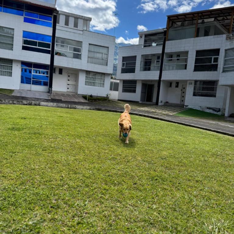 Casa LuA - Casa de 4 dormitorios - 24