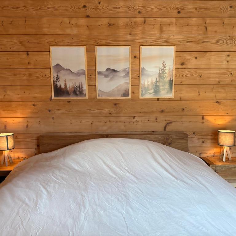 Chalet cosy au pied des Portes du Soleil - Chalet mit 3 Schlafzimmern - 19