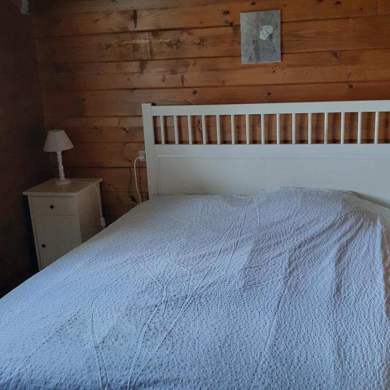 Chalet familial au cœur de la Haute Savoie - Chalet - 18