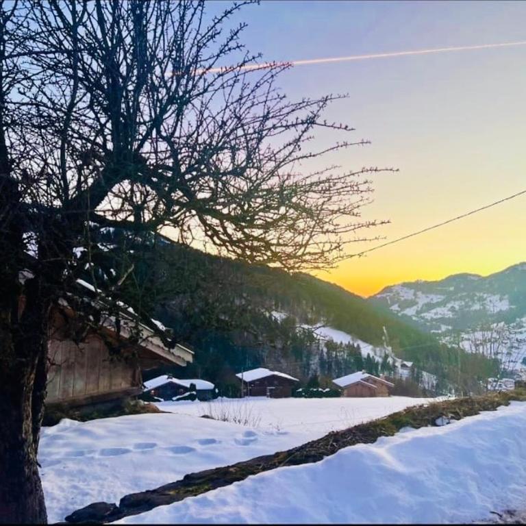 Chalet Dakota - Chalet - 20