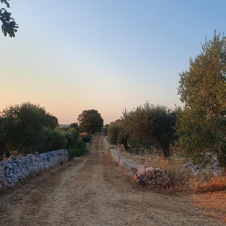 Trullo cumma Rosa - Casa con 2 Camere da Letto - 2
