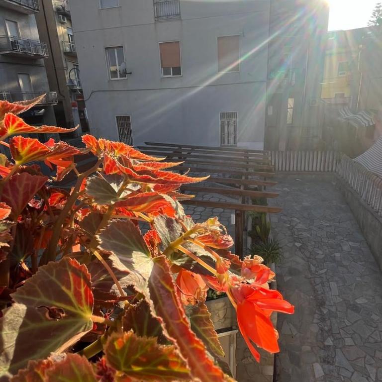 Anemoi - Camera Matrimoniale con Balcone - 6