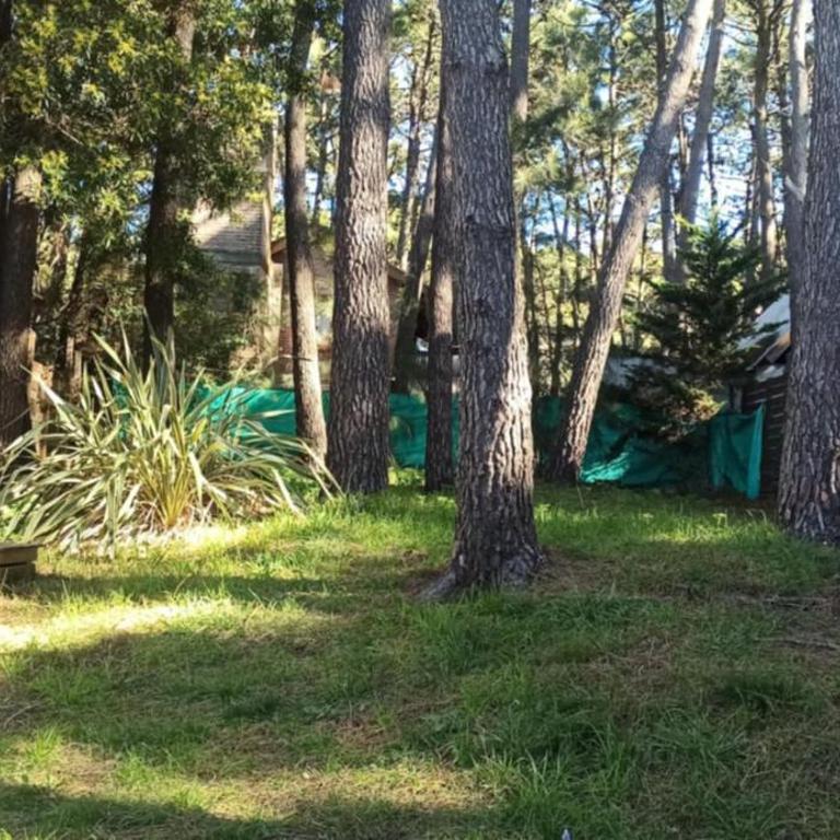 guaymayen - Casa de 2 dormitorios - 41