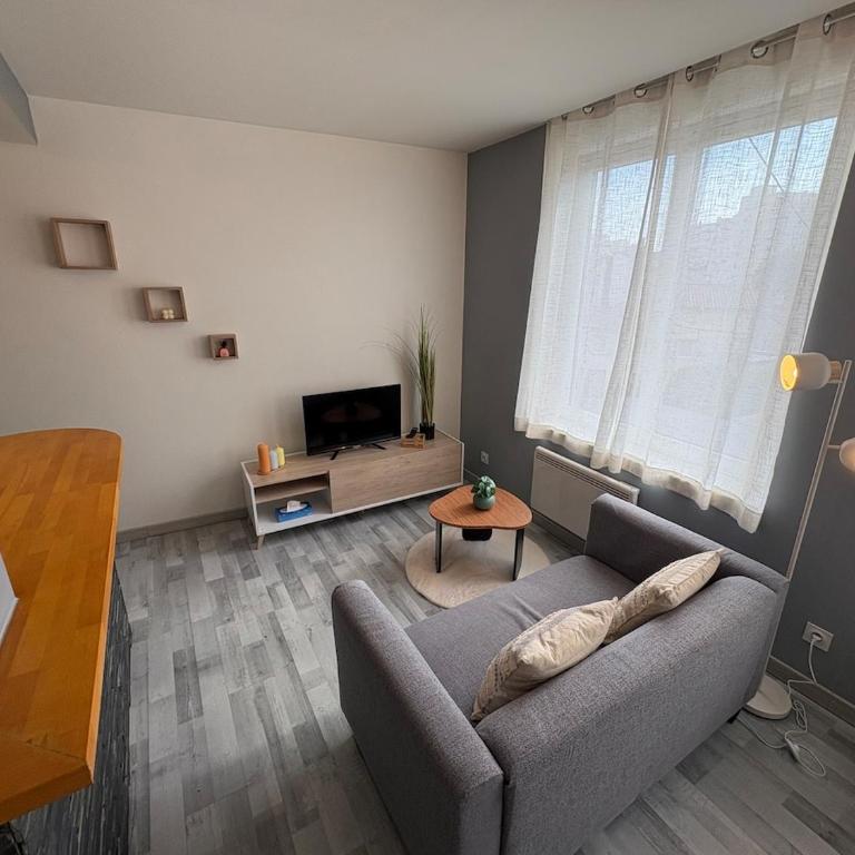 Appartement Cosy au coeur de Saint Etienne - Appartamento con 1 Camera da Letto - 1