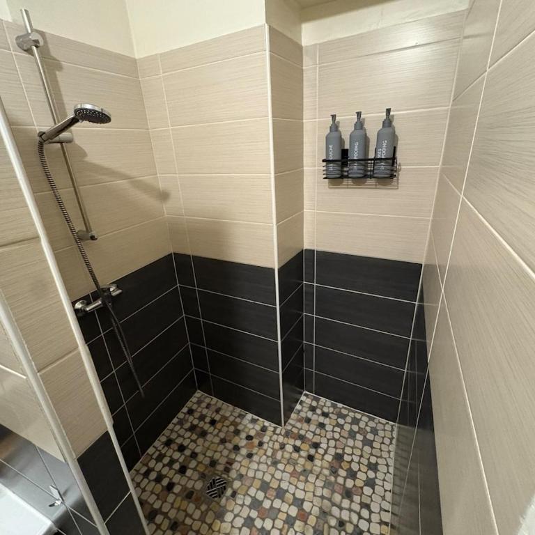 Appartement Cosy au coeur de Saint Etienne - Appartamento con 1 Camera da Letto - 13