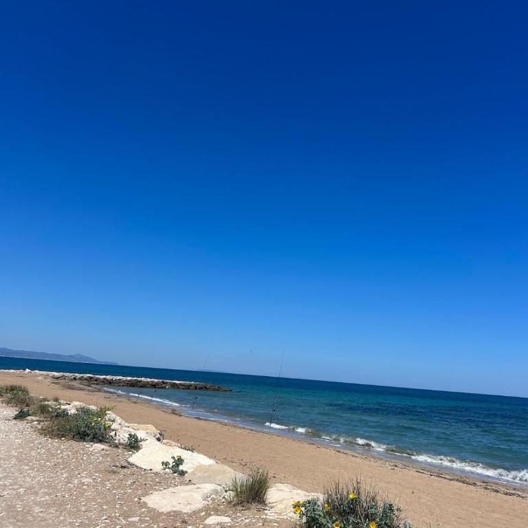 La barraca del pescador - Apartamento de 1 dormitorio - 5