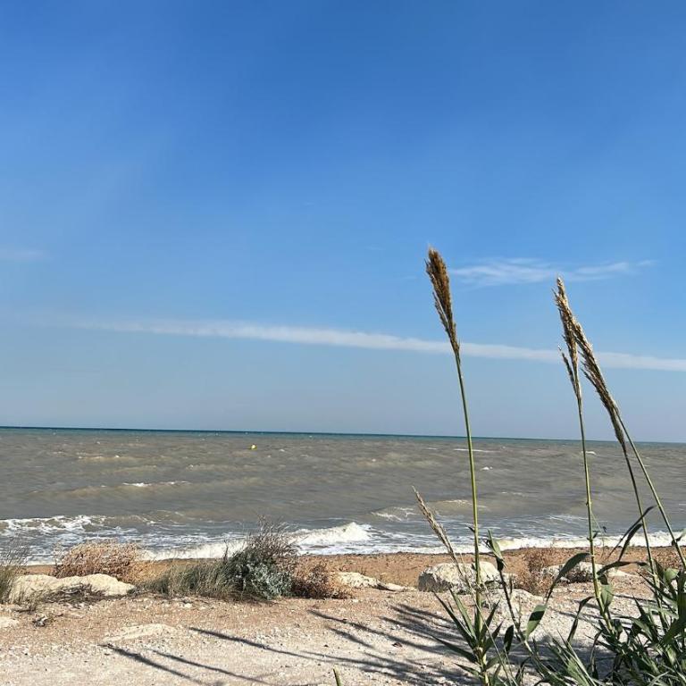 La barraca del pescador - Apartamento de 1 dormitorio - 18