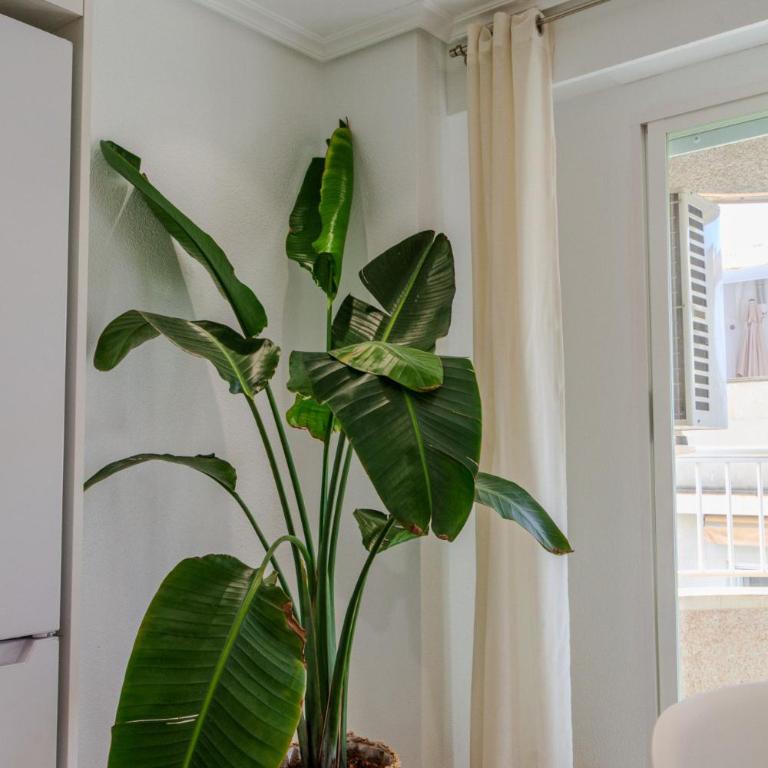 Downtown apartment near the beach and airport - Apartamento de 3 dormitorios - 21