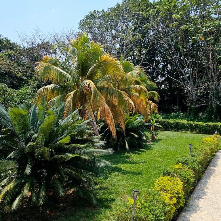 Casa Campestre El Laurel - Six-Bedroom House - 55