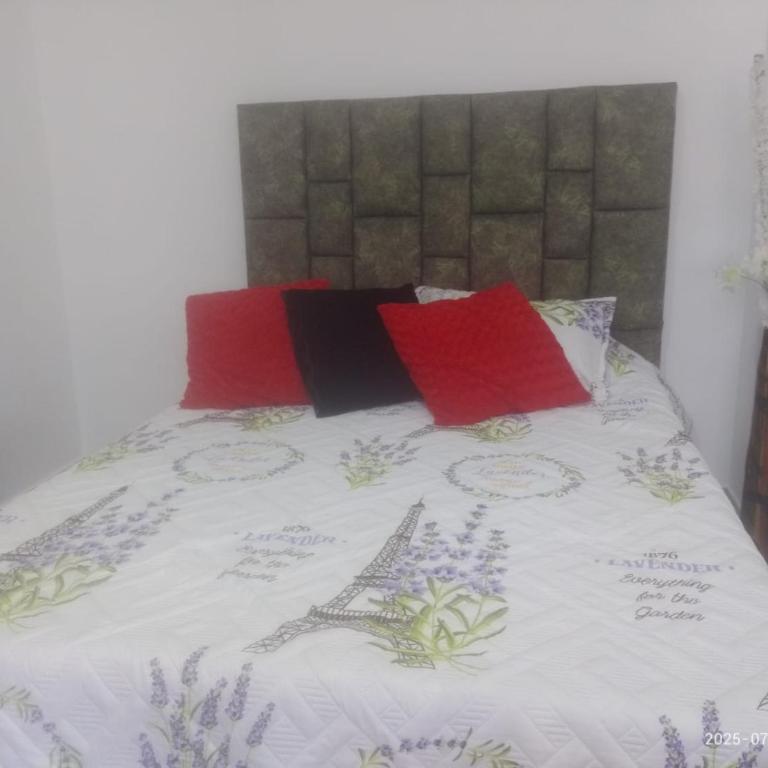 Espectacular apartamento acqua Hills - Apartamento de 2 dormitorios - 19
