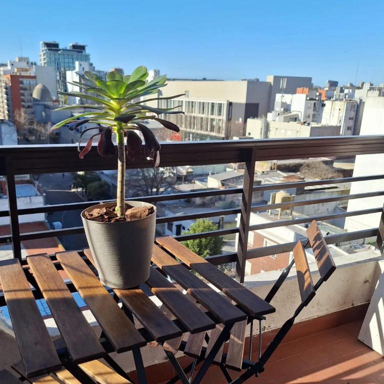 Hermoso departamento zona shopping Aldrey - Apartamento de 1 dormitorio - 15