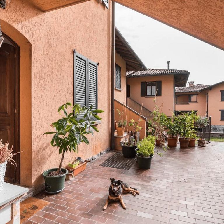 Cat lovers home - Appartamento con 1 Camera da Letto - 6