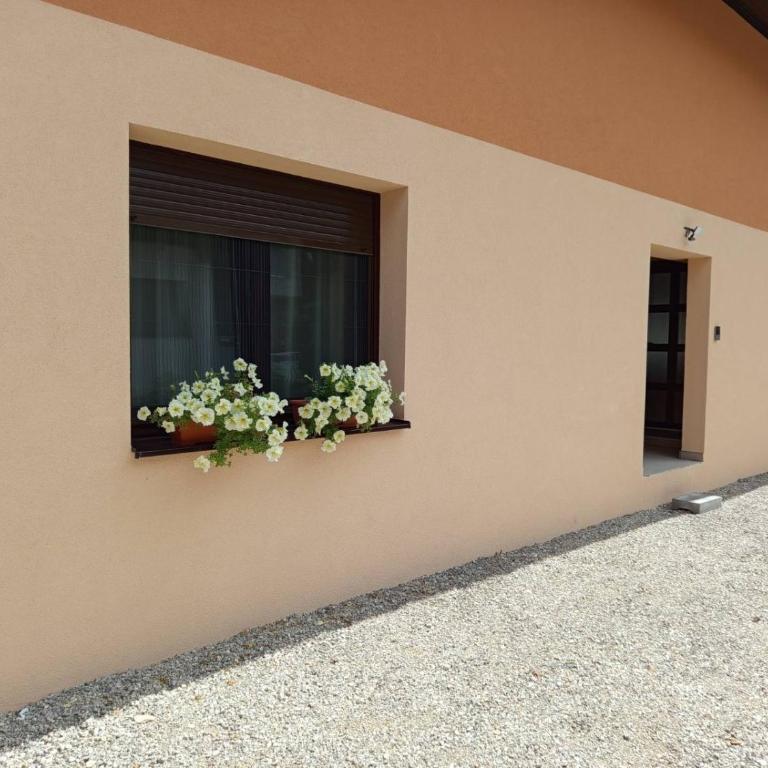 Apartmani Piralis - Two-Bedroom Apartment - 1