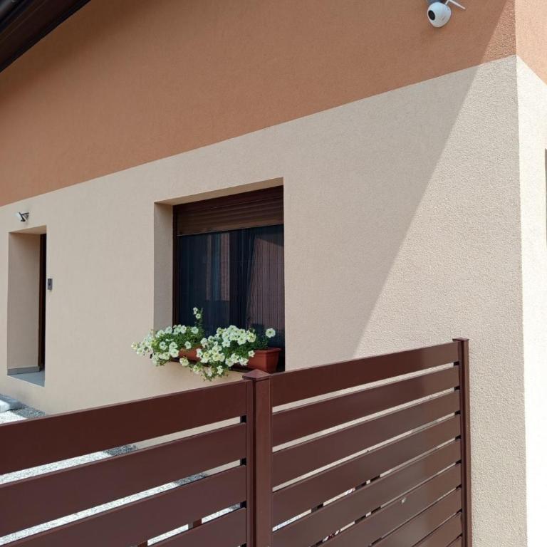 Apartmani Piralis - One-Bedroom Apartment - 6