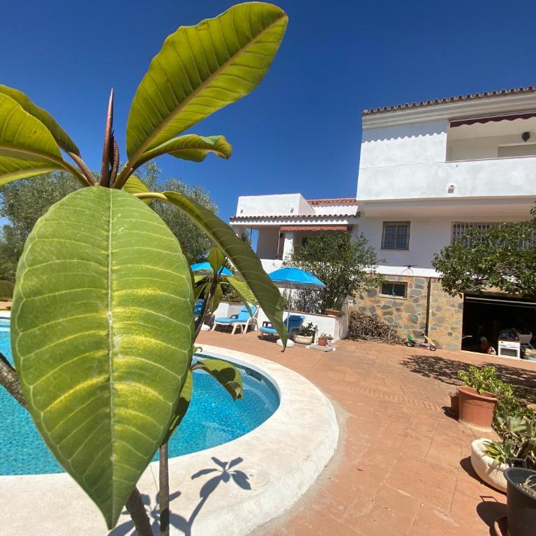 Placeres de Mijas - Villa - 3
