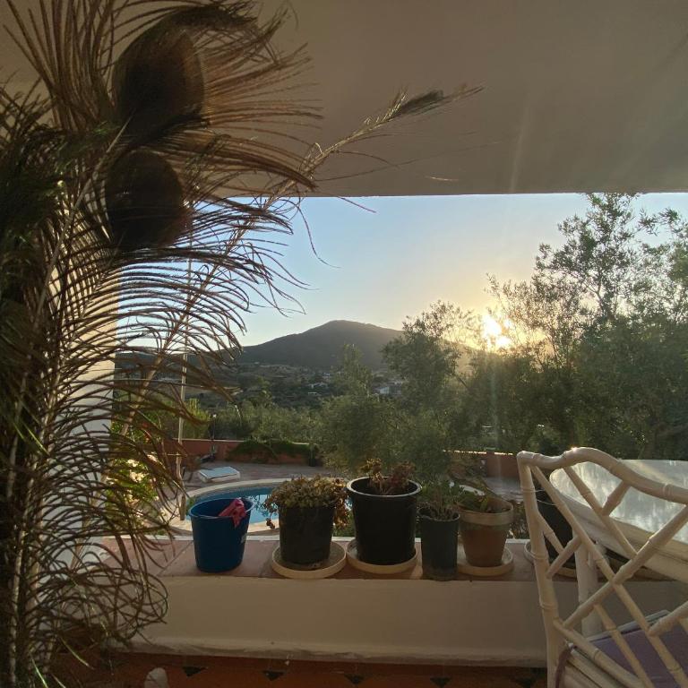 Placeres de Mijas - Villa - 9