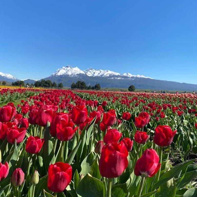 Trevelin, Patagonia Retreat Paradise - Casa Unifamiliar de 3 dormitorios - 22