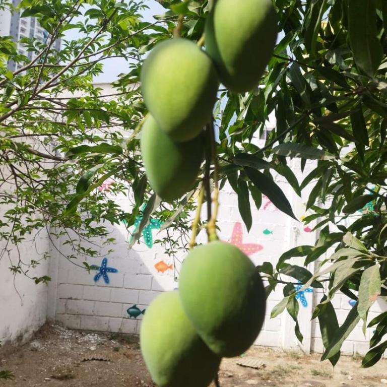 Hostal Mar y Arena - Habitación Doble - 1 o 2 camas - 14